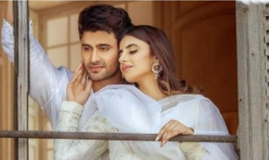 Tere Bin : Ieshaan Sehgaal and Miesha Iyer pair up for their first collaboration post break-up