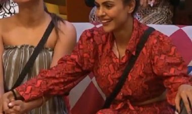 Bigg Boss 16: Archana Gautam, Priyanka Chahar Chaudhary become new favourites as they win over the bullying in the house; viewers call them ‘Shernis’