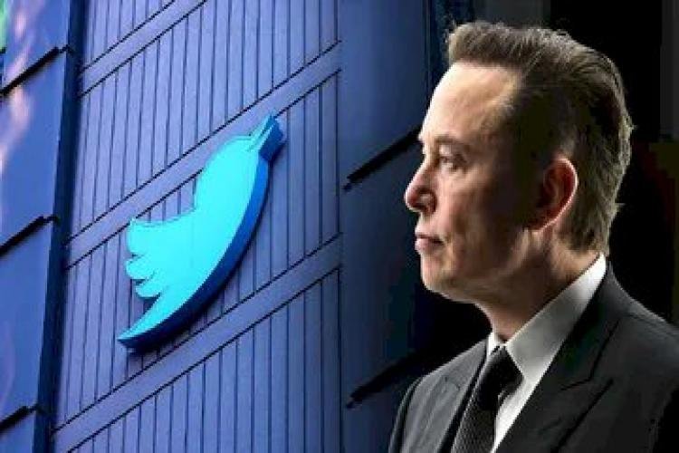 Elon Musk Will Do Two Hands With The Media! Know What Twitter's New Boss Said On Citizen Journalism