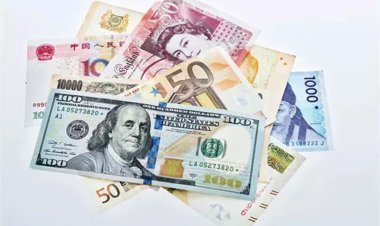 India's Forex Reserves reached the lowest level in five months, gold reserves also declined, RBI released figures