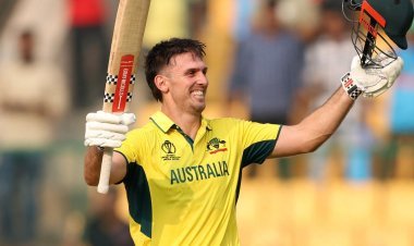 AUS vs NED: Australia won the toss and chose to bat, Marcus Stoinis out due to injury, this player got a chance