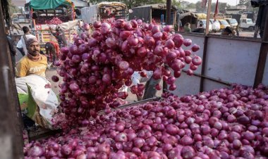 Onion Prices: What is the retail onion price in the country? Know when you will get relief