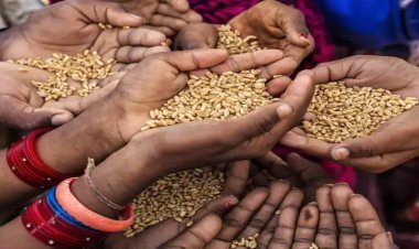 80 crore people will get free grains by December, central government made important announcement