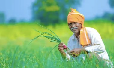 15th installment of PM Kisan Yojana has not arrived, these could be the reasons, how to know