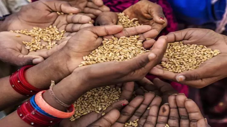 80 crore people will get free grains by December, central government made important announcement