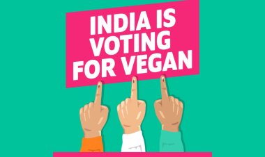 India Votes For Vegan It is a clear majority as nearly 60% Indians want to try vegan