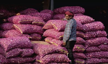 Onion may become cheaper by January 2024, government expects price to be below Rs 40 per kg