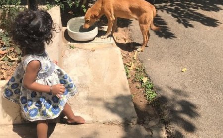 Two Decades of Impact: Zone Adds’ Advertising Mastery and Social Commitment