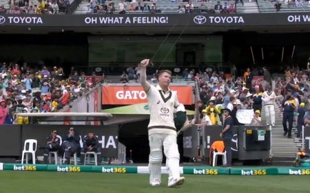 David Warner surprised on New Year, suddenly said goodbye to ODI cricket before the farewell test