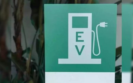 Delhi government extended the Electric Vehicle Policy till 31 March 2024, customers will continue to get the benefit of subsidy