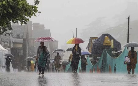 Meteorological Department had to issue a red alert; Heavy rain in the next 2 days, know why