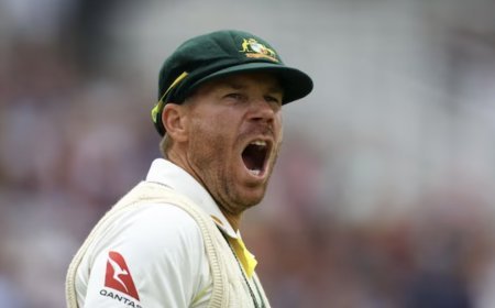 David Warner's precious thing was stolen before the farewell test; Made appeal on social media to return it