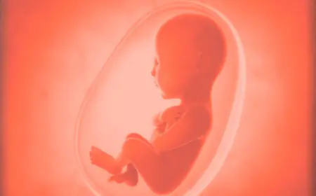 Kerala: 12-year-old girl 34 weeks pregnant, HC rejects abortion petition; know details