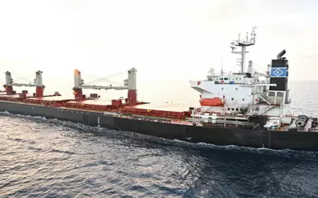 Indian Navy, INS Visakhapatnam deployed in action after attack on merchant ship in Gulf of Aden