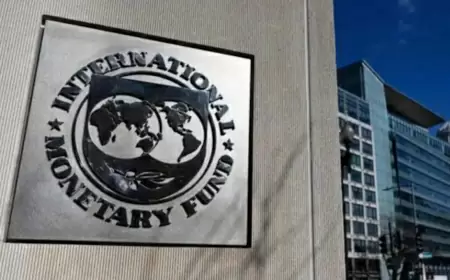 IMF: India's growth rate is estimated to be 6.5% in 2024-2025, global GDP growth rate may be 3.1% this year.