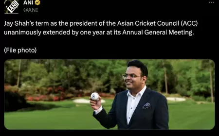 Asian Cricket Council: Jay Shah is re-elected to the position of President of the ACC for a further year