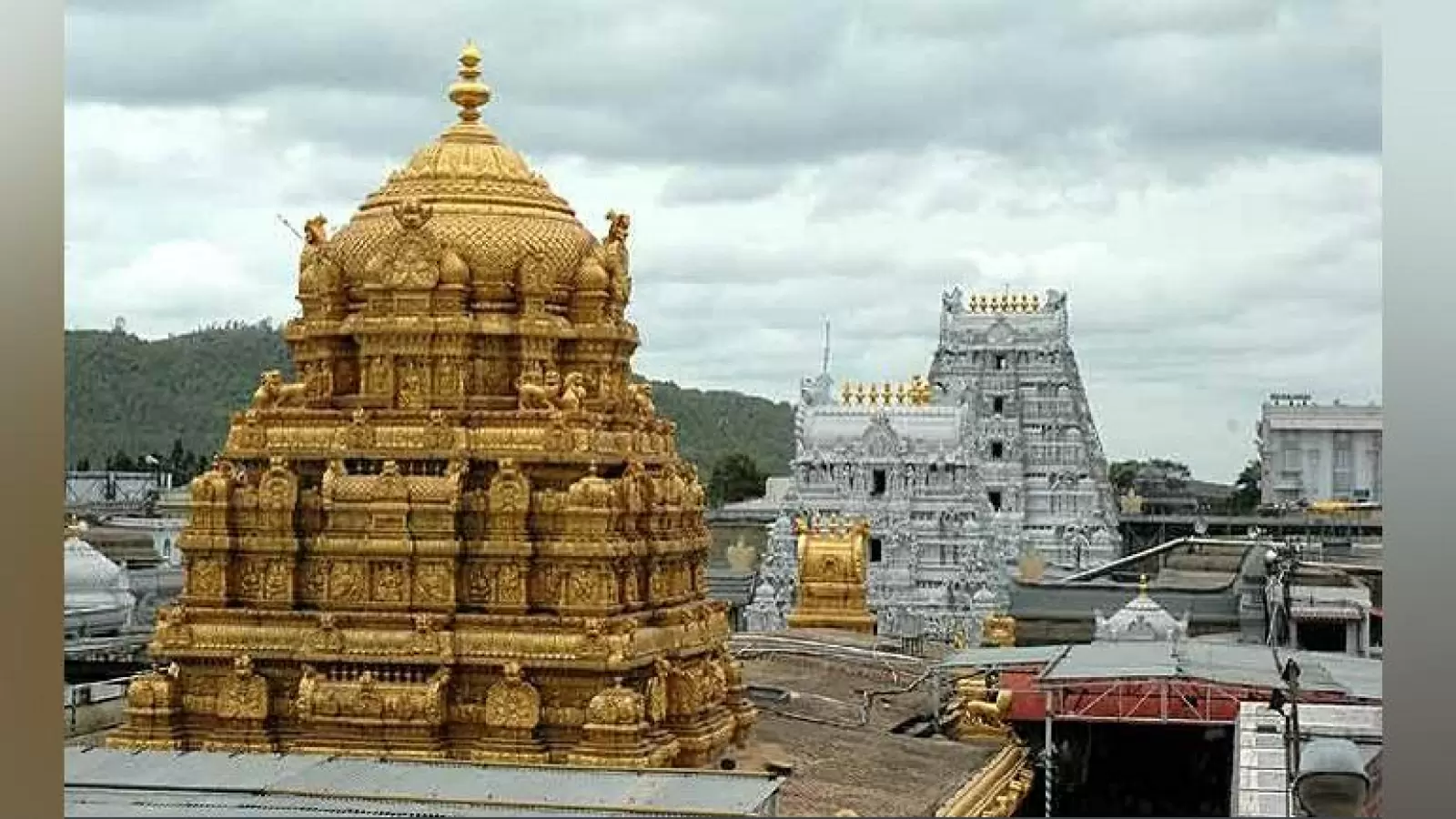 Andhra Pradesh: Muslim devotee expressed desire for Srivari Seva, TTD assured to explore the possibility