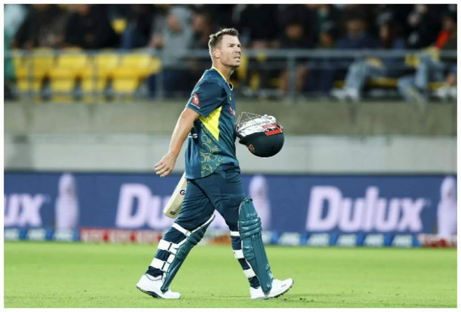 David Warner injury increases Delhi Capitals' tension, will not play third T20I against New Zealand