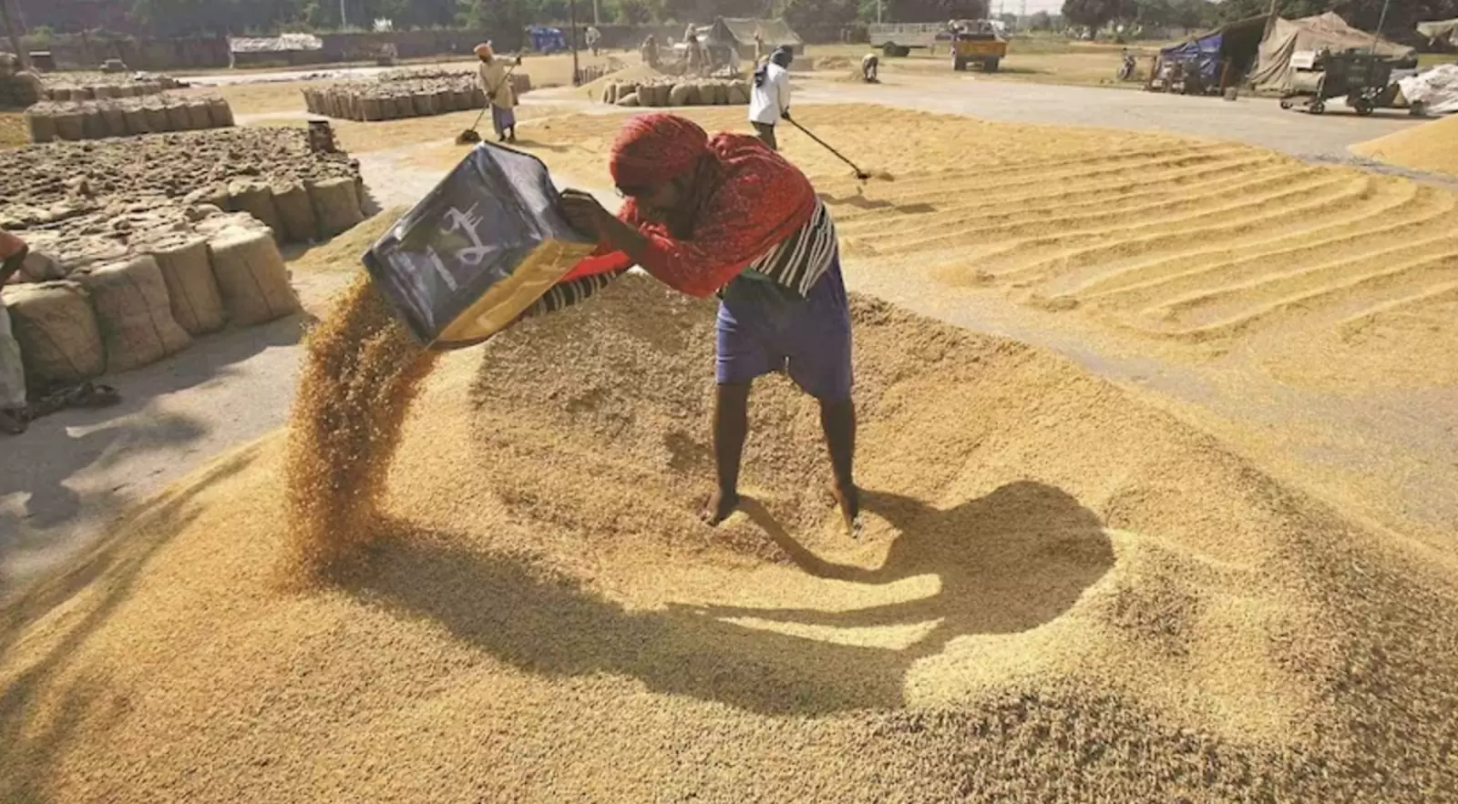 'There should be a permanent solution to the grain stock issue for food security'; G33 countries appeal to WTO members