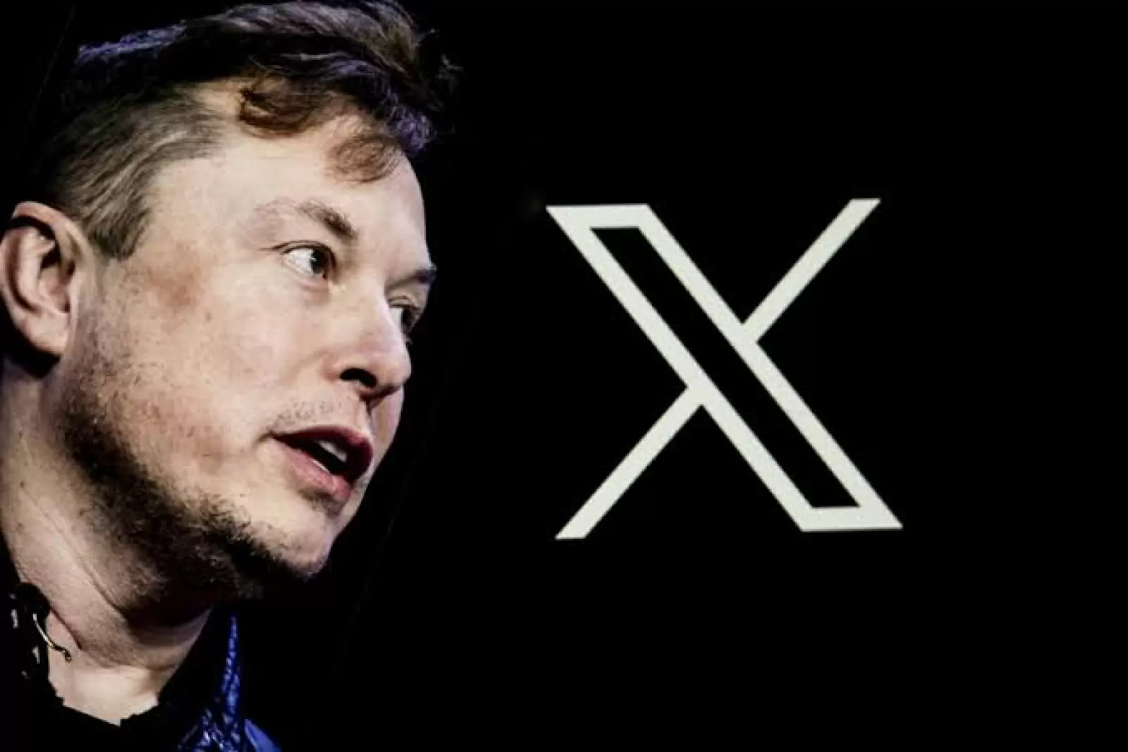 X Update: The wait is over, Elon Musk released the feature of audio-video calling