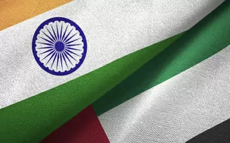 'Bilateral trade expected to reach $100 billion'; UAE is India's third largest trading partner