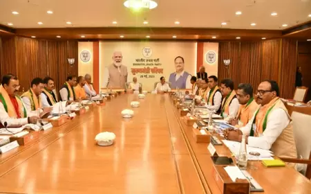 PM Modi's meeting with Chief Ministers of BJP-ruled states, said - we are committed to developed India