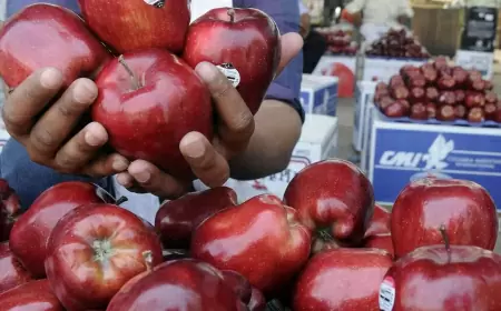 Apple export from America to India increased 16 times, Washington got success by removing the duties imposed in 2019