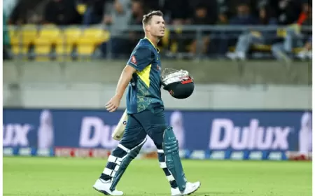 David Warner injury increases Delhi Capitals' tension, will not play third T20I against New Zealand