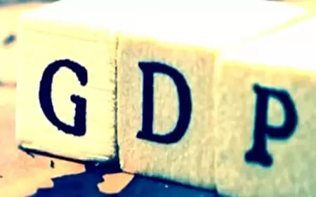 BOB Report: Third quarter's growth rate might reach 6.4%; GDP data will be released on February 29