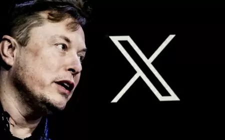 X Update: The wait is over, Elon Musk released the feature of audio-video calling