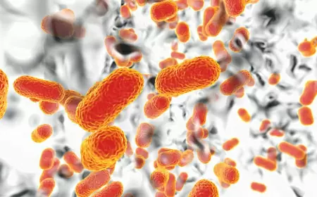 Attack on epidemic: Monitoring will be done from superbugs to viruses, India started work on national plan with WHO