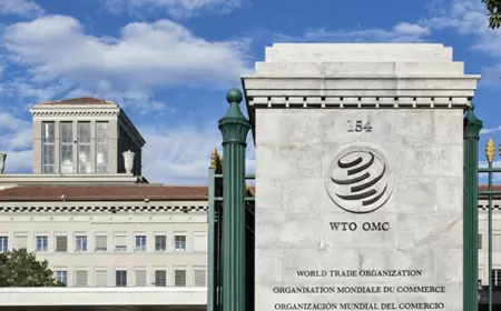 WTO: India in favor of finalizing the permanent solution of PSH, said- issues pending for 11 years