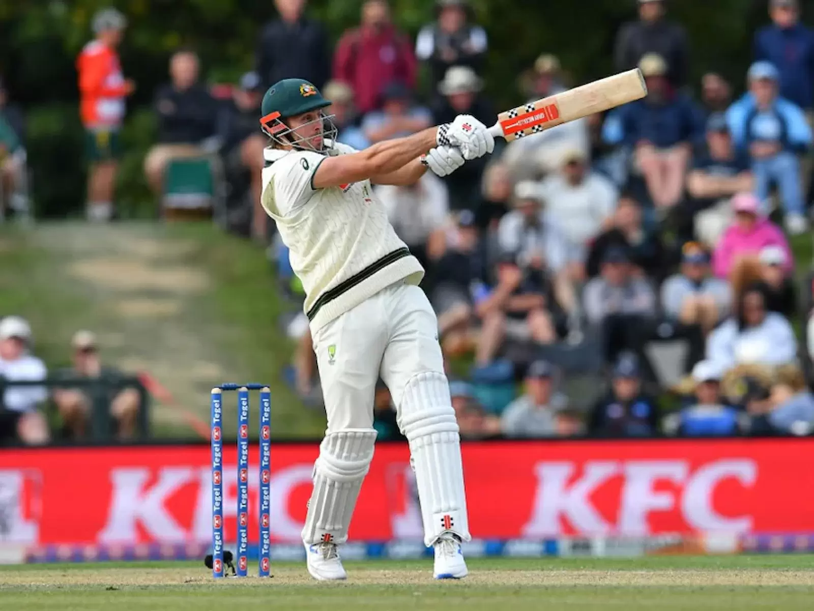 NZ vs AUS: Australia won Christchurch Test by 3 wickets, made a 2-0 clean sweep against New Zealand