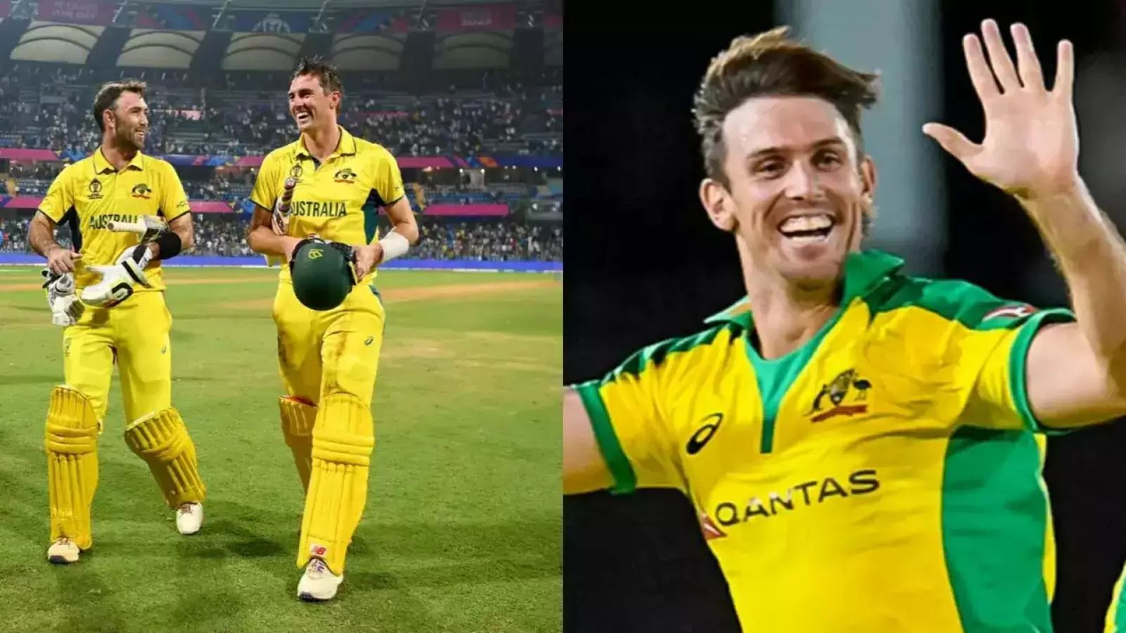 No Pat Cummins in T20 World Cup, this star player will become the captain of Australia, the coach revealed the name