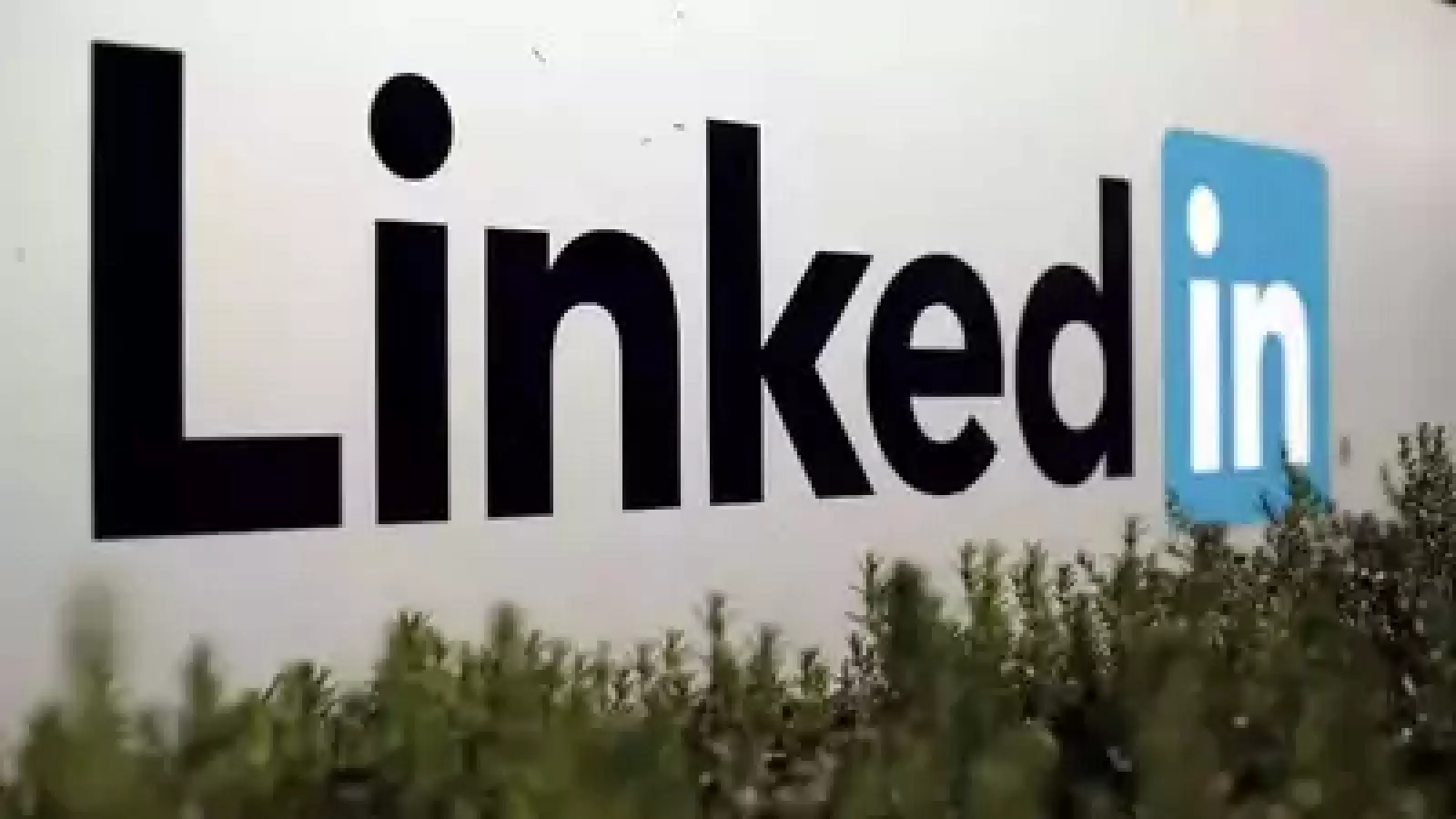 LinkedIn will soon launch a new feature that allows you to watch videos, just like on YouTube and Instagram