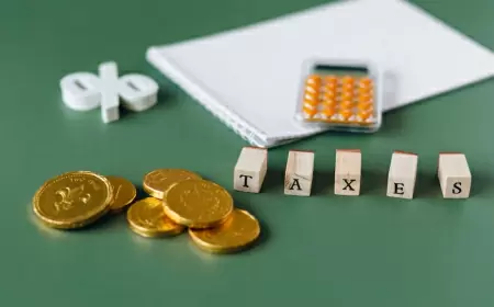 Income Tax: If you want to switch to the old tax regime, then fill this form before July 31