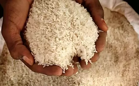 DGFT: 30,000 tonnes of non-Basmati white rice will be exported from India to Tanzania, government gives permission