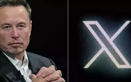 X Update: Elon Musk is going to make a big change, numbers of likes and reposts will not be visible