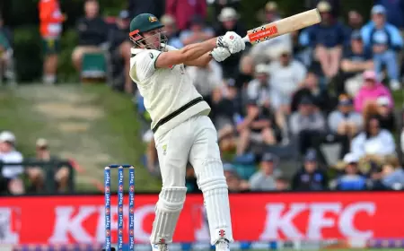 NZ vs AUS: Australia won Christchurch Test by 3 wickets, made a 2-0 clean sweep against New Zealand