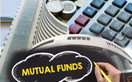 Share of women investors in mutual funds increased, AMFI said- investors are turning towards funds