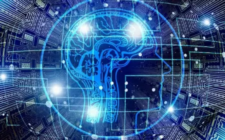 AI facilitates the identification of patients' stress levels, according to Dutch researchers