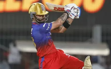 RCB vs PBKS: Virat and Maxwell ready to create havoc, Bengaluru's pitch is very good