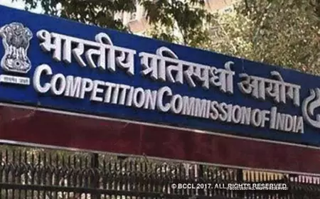 Competition Commission is investigating some fintech companies, chairperson said - the film industry is under watch