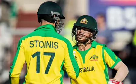 Australia's big action before T20 World Cup, these players including David Warner-Marcus Stoinis out of central contract