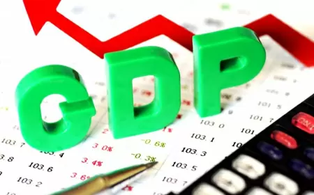 India's GDP will be 55 trillion dollars by 2047, India's executive director at IMF said this