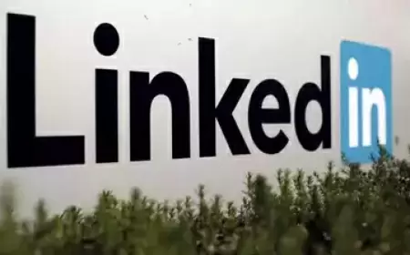 LinkedIn will soon launch a new feature that allows you to watch videos, just like on YouTube and Instagram