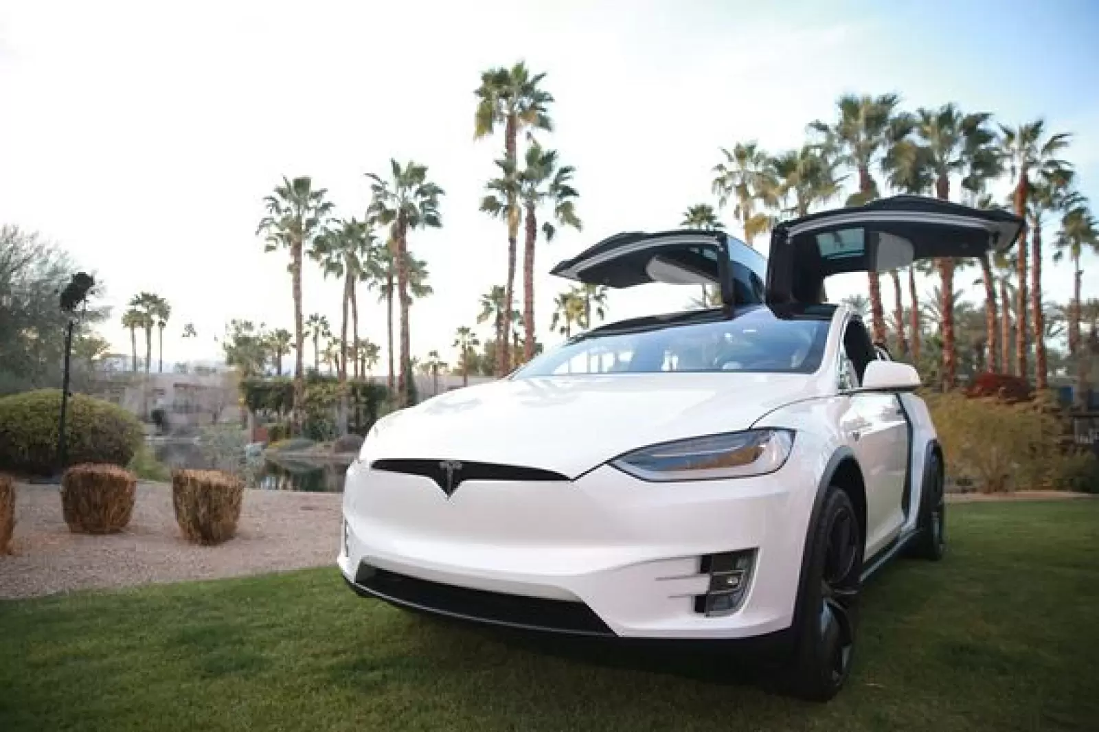 Two-year-old child starts Model X, EV climbs on mother, woman files suit against Tesla