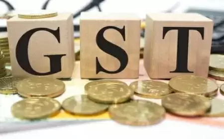 Officials will not be able to investigate big companies without approval, instructions issued for Central GST officers