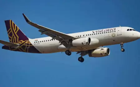 DGCA took cognizance of Vistara flight cancellation issue, sought report