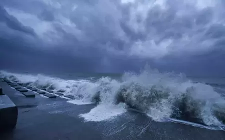 IMD: India played a big role in helping these countries in developing weather early warning system